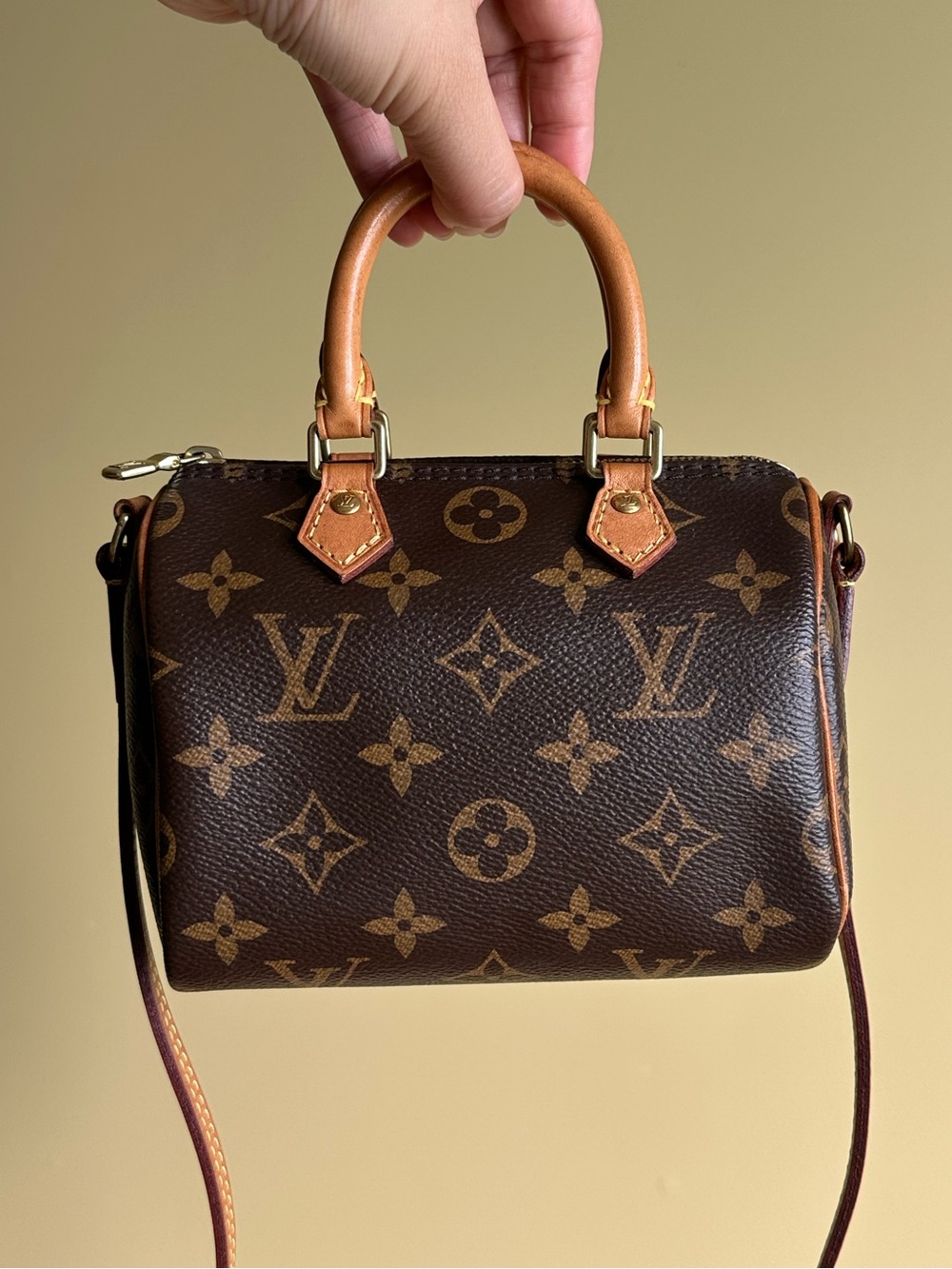 Louis Vuitton Nano Speedy Monogram Crossbody Bag